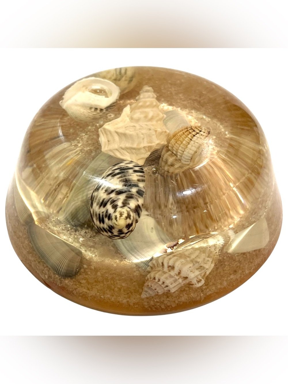 Vintage 1970s Lucite Paperweight with Encased Sea Shells - MCM